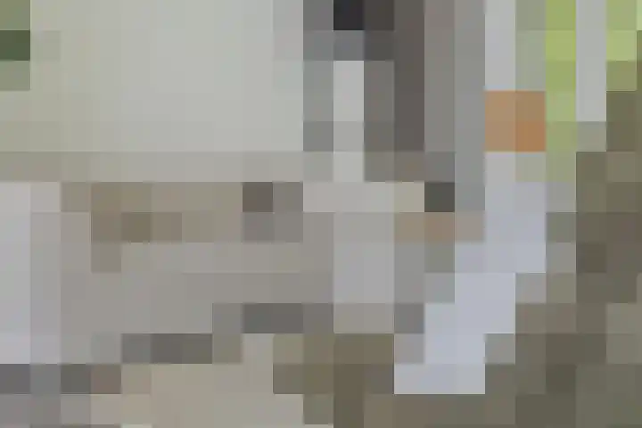 Dr H. Colijnlaan 75 Rijswijk thumbnail 13