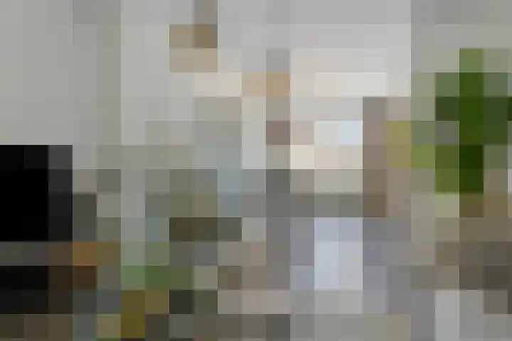 Dr H. Colijnlaan 75 Rijswijk thumbnail 14