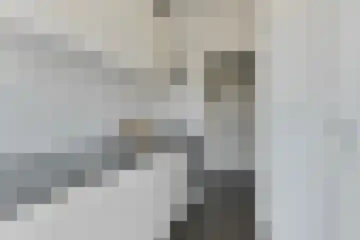 Dr H. Colijnlaan 75 Rijswijk thumbnail 17