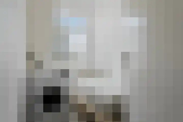 Dr H. Colijnlaan 75 Rijswijk thumbnail 25