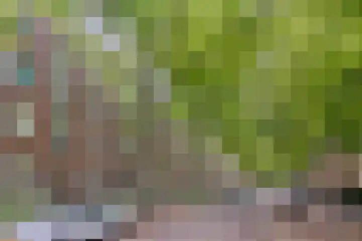 Dr H. Colijnlaan 75 Rijswijk thumbnail 27