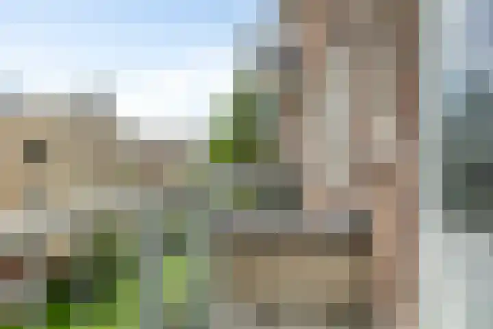 Dr H. Colijnlaan 75 Rijswijk thumbnail 4