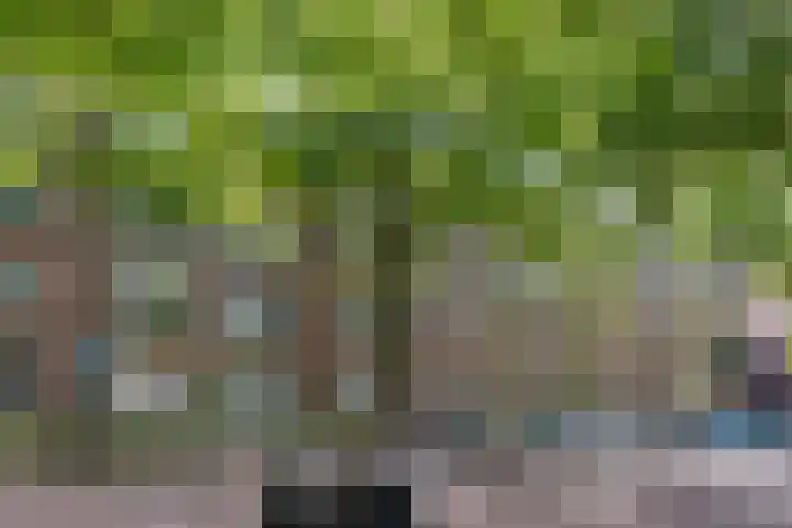 Dr H. Colijnlaan 75 Rijswijk thumbnail 5