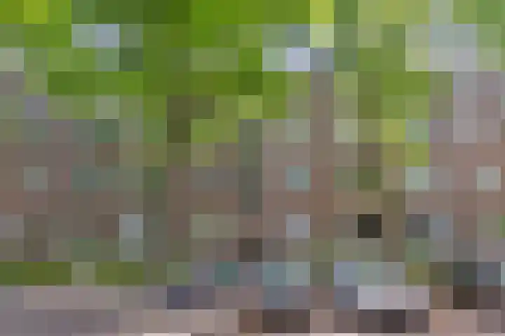 Dr H. Colijnlaan 75 Rijswijk thumbnail 6