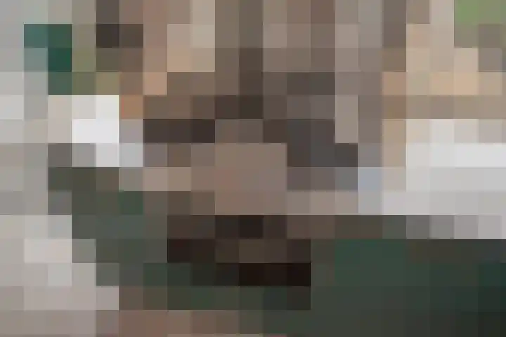 Dr H. Colijnlaan 77 Rijswijk thumbnail 11