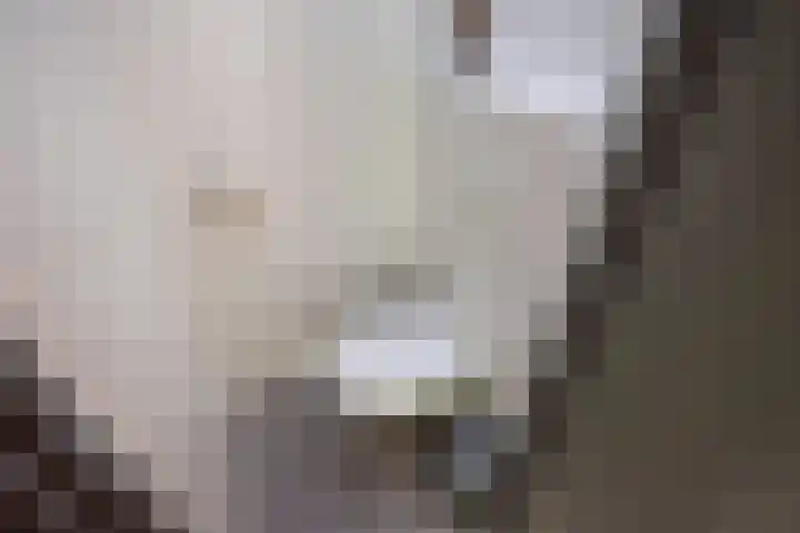 Dr H. Colijnlaan 77 Rijswijk thumbnail 16