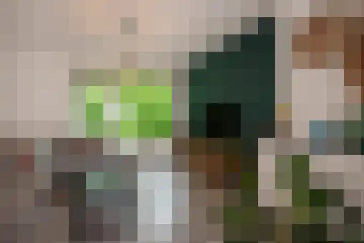 Dr H. Colijnlaan 77 Rijswijk thumbnail 17