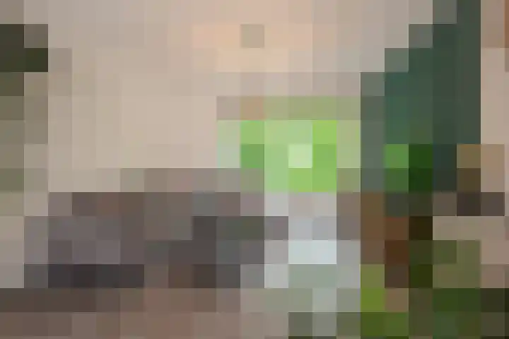 Dr H. Colijnlaan 77 Rijswijk thumbnail 18