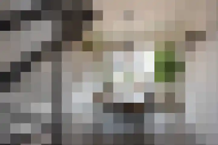 Dr H. Colijnlaan 77 Rijswijk thumbnail 20