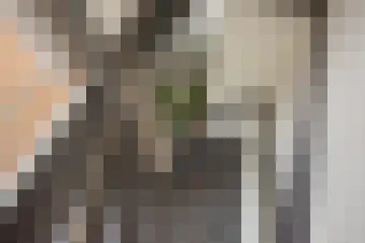 Dr H. Colijnlaan 77 Rijswijk thumbnail 21