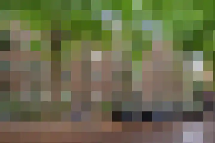 Dr H. Colijnlaan 77 Rijswijk thumbnail 27