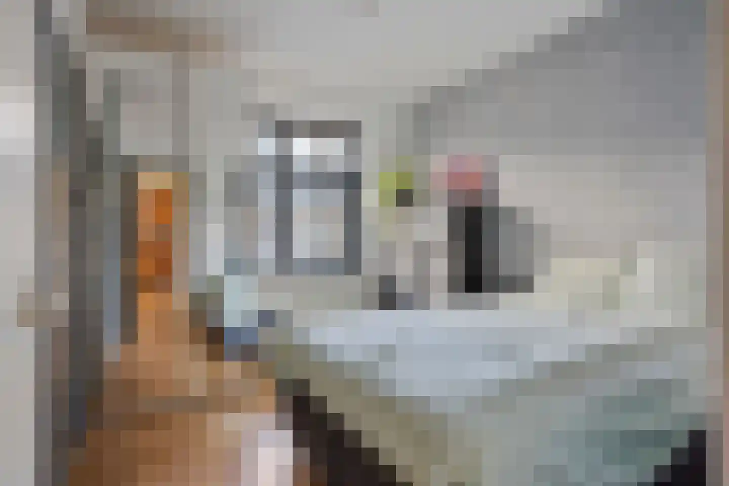 Dr H. Colijnlaan 82 Rijswijk thumbnail 14