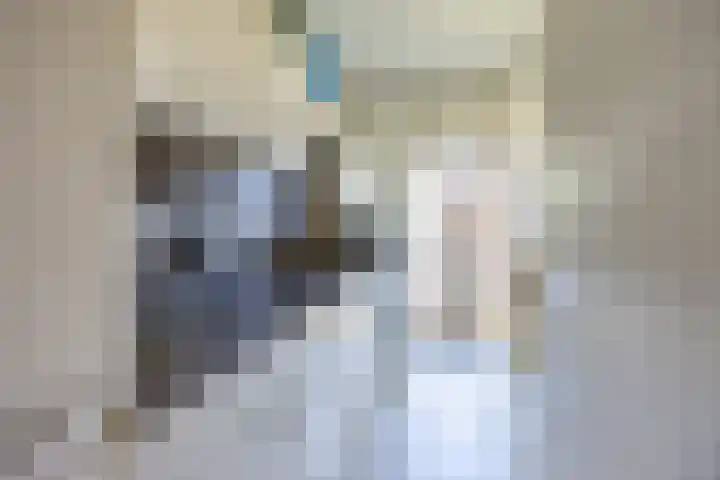 Dr H. Colijnlaan 99 Rijswijk thumbnail 11