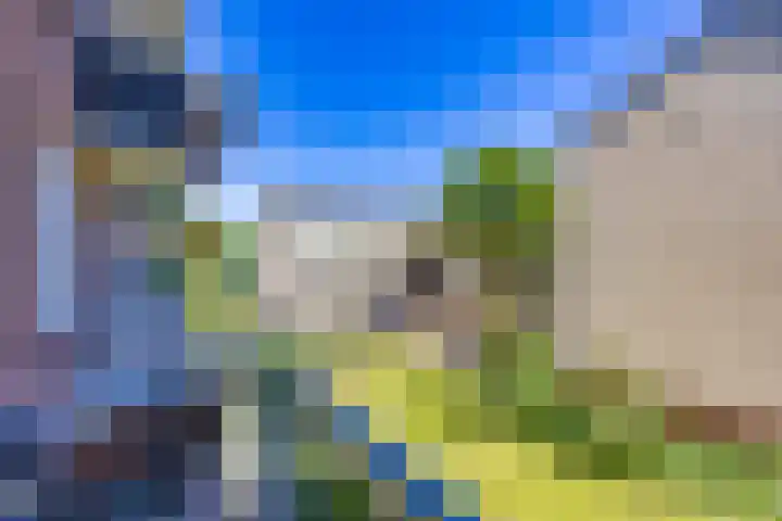 Dr H. Colijnlaan 99 Rijswijk thumbnail 13