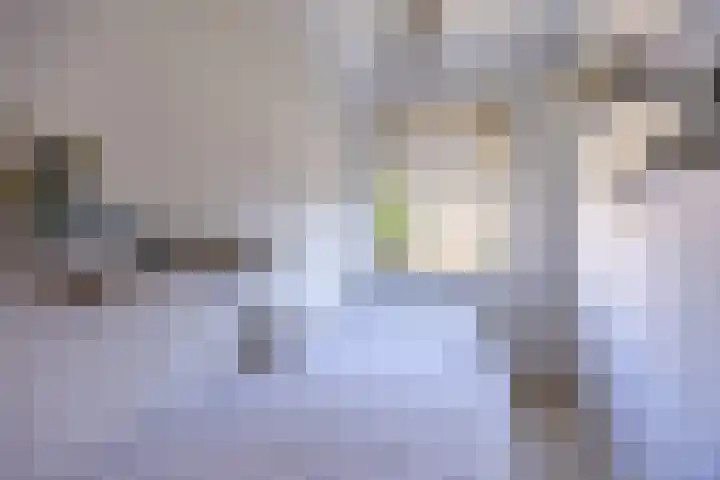 Dr H. Colijnlaan 99 Rijswijk thumbnail 15