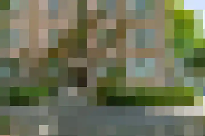 Dr H. Colijnlaan 99 Rijswijk thumbnail 23