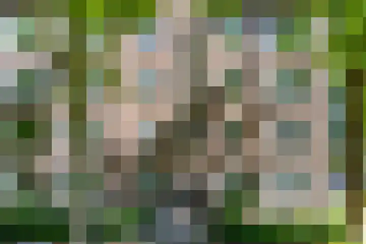 Dr H. Colijnlaan 99 Rijswijk thumbnail 24