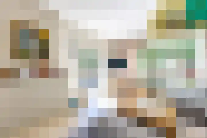 Dr H. Colijnlaan 99 Rijswijk thumbnail 4