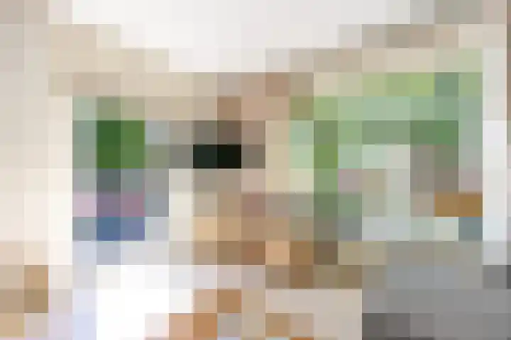 Dr H. Colijnlaan 99 Rijswijk thumbnail 5
