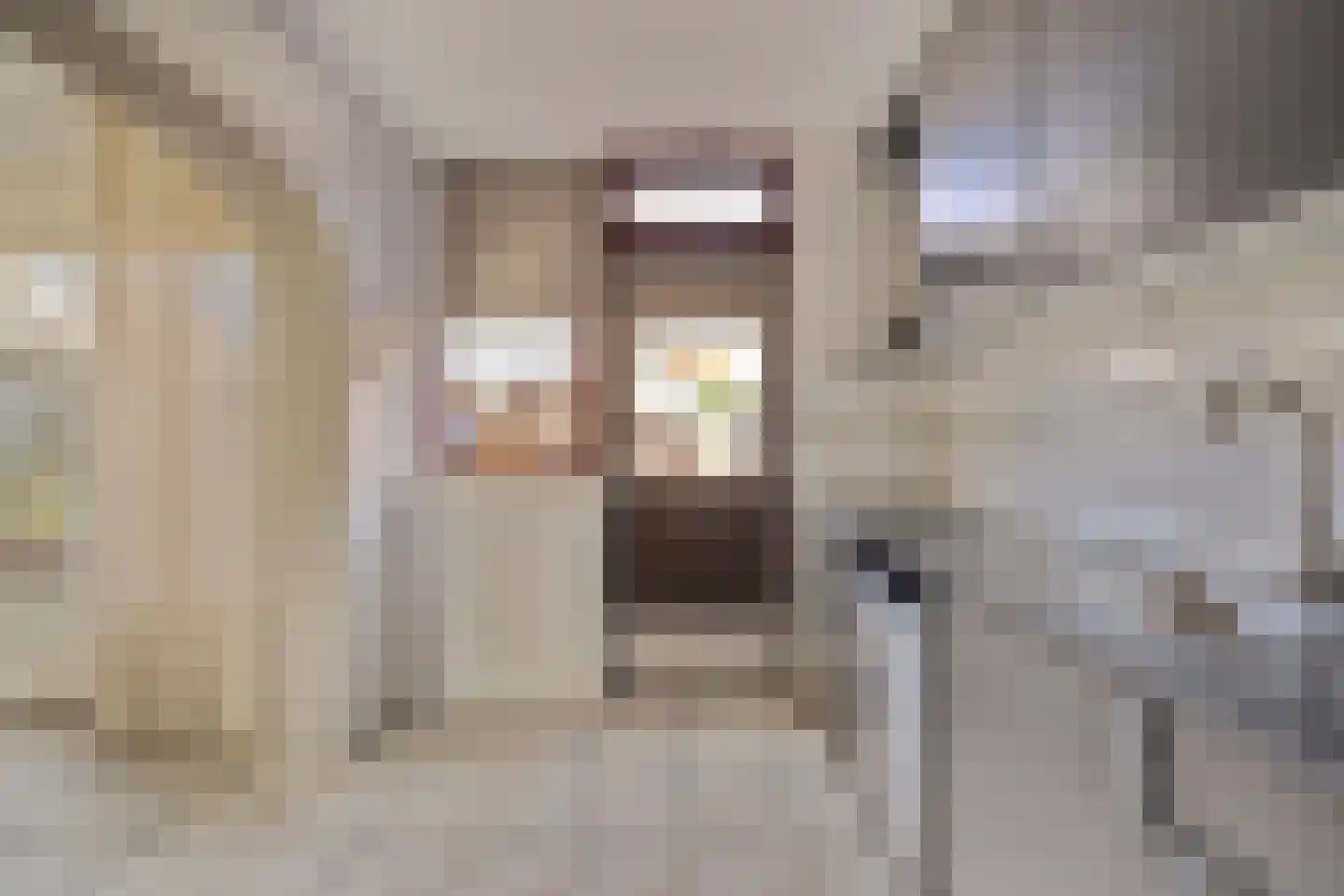 Dr H Colijnstraat 12 Zuidland thumbnail 13