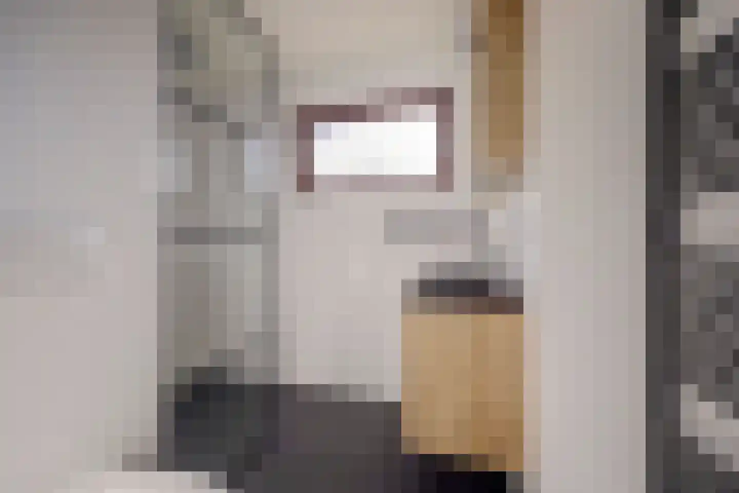 Dr H Colijnstraat 12 Zuidland thumbnail 24