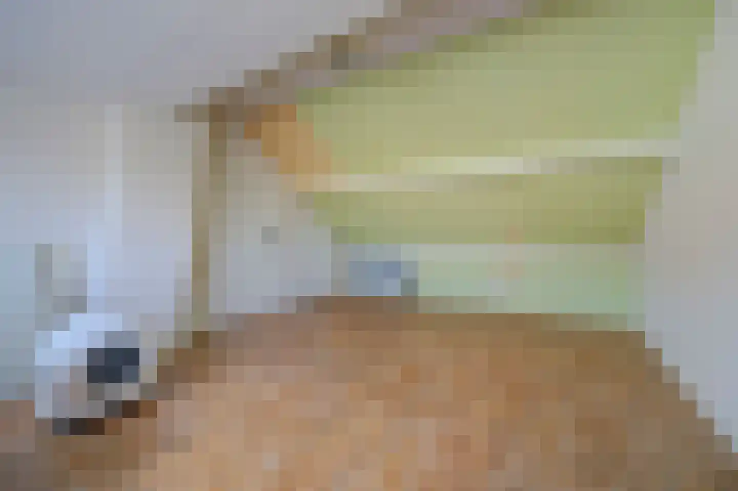Dr H Colijnstraat 12 Zuidland thumbnail 32