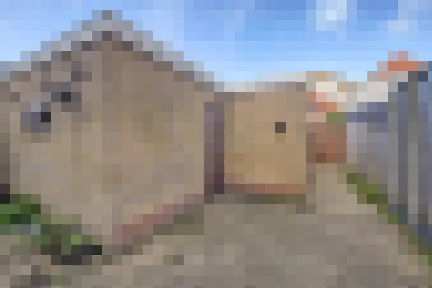 Dr H Colijnstraat 12 Zuidland thumbnail 35