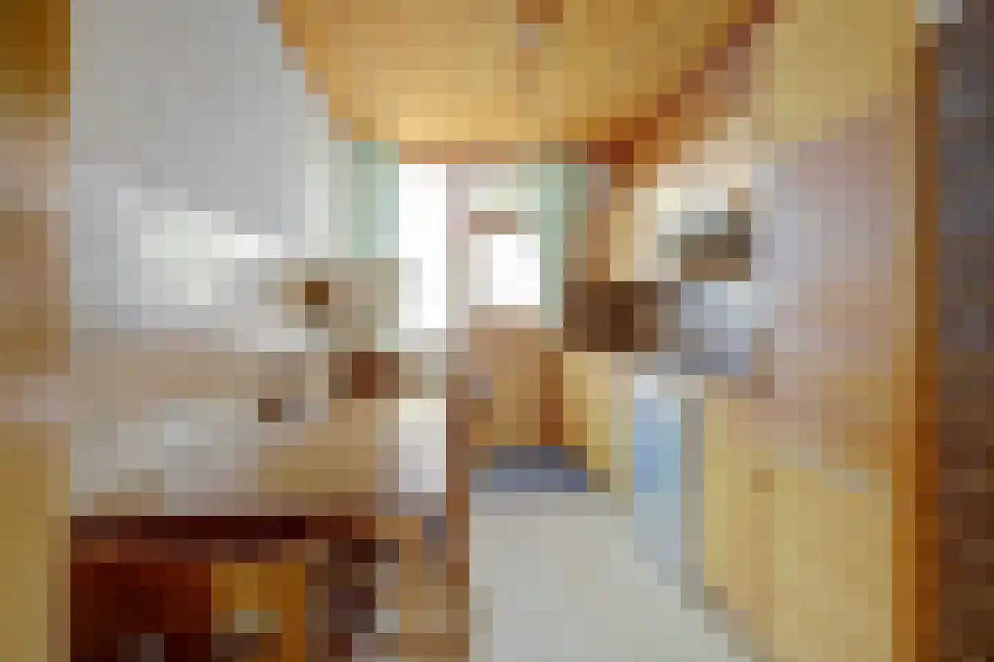 Dr H Colijnstraat 6 Zuidland thumbnail 11