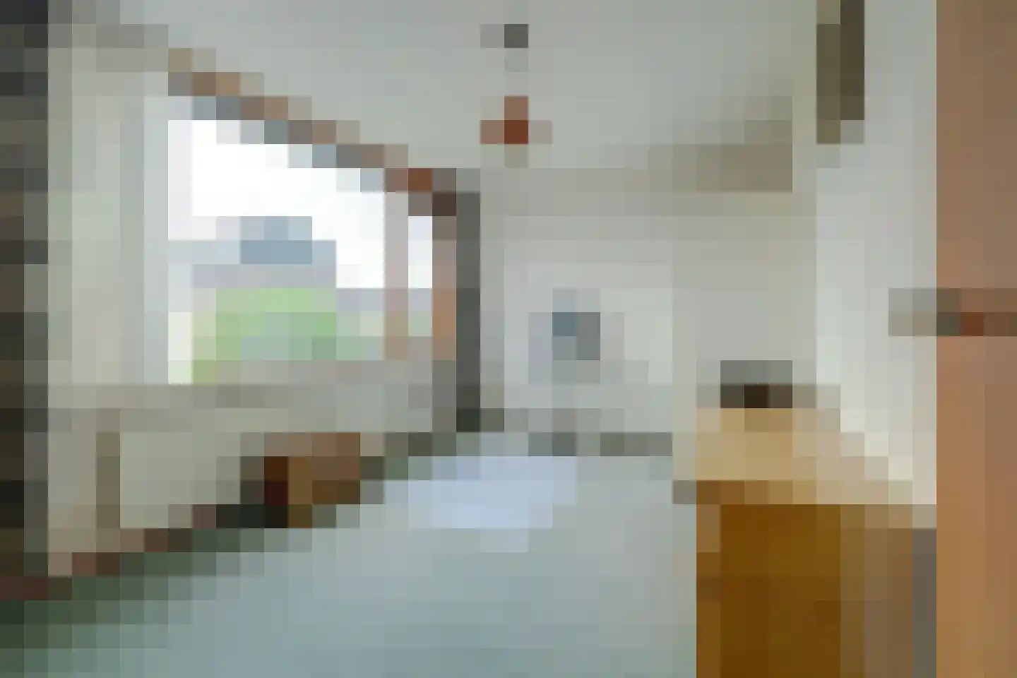 Dr H Colijnstraat 6 Zuidland thumbnail 16
