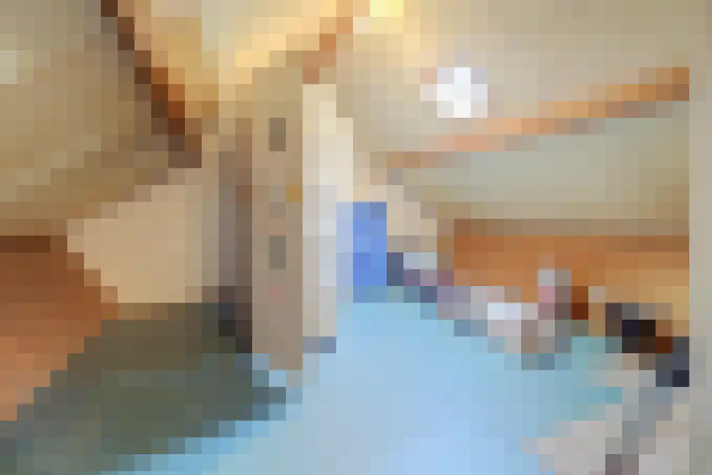 Dr H Colijnstraat 6 Zuidland thumbnail 25