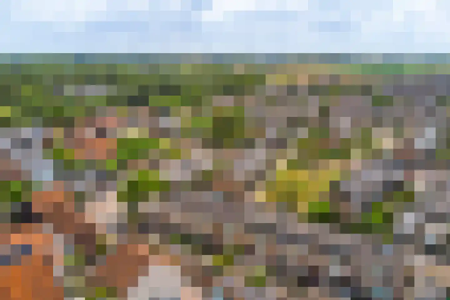 Dr H Colijnstraat 6 Zuidland thumbnail 39