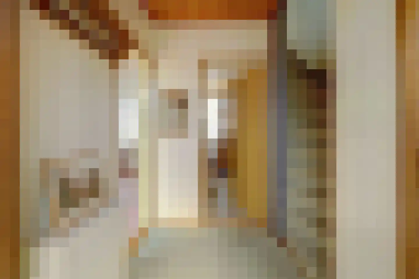 Dr H Colijnstraat 6 Zuidland thumbnail 5