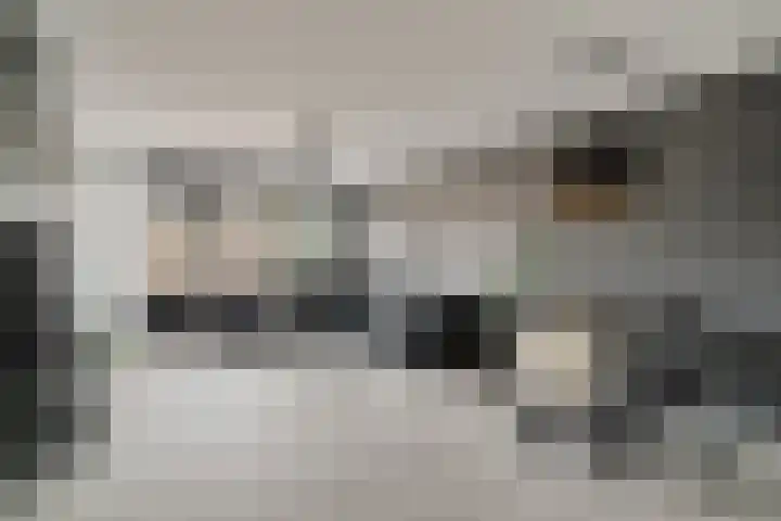 Dr. H.J.A.M.Schaepmanplein 21 Neede thumbnail 12