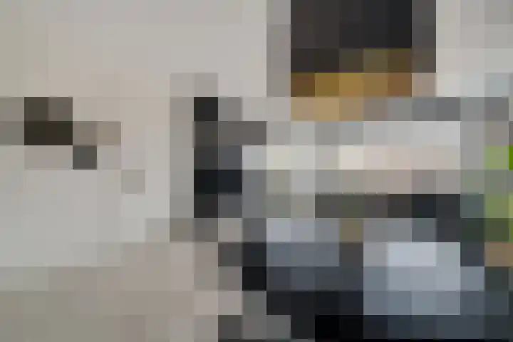 Dr. H.J.A.M.Schaepmanplein 21 Neede thumbnail 13