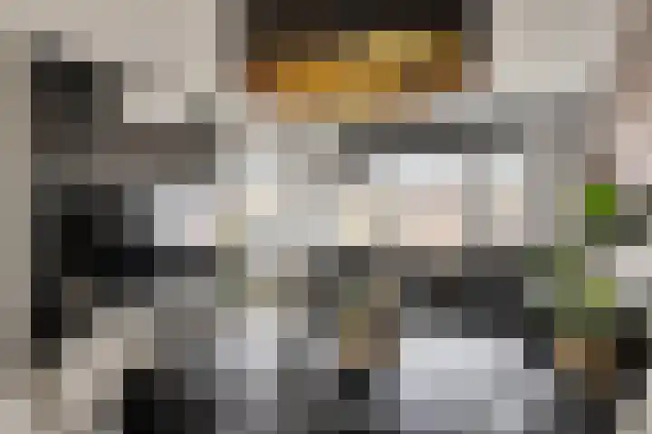 Dr. H.J.A.M.Schaepmanplein 21 Neede thumbnail 14