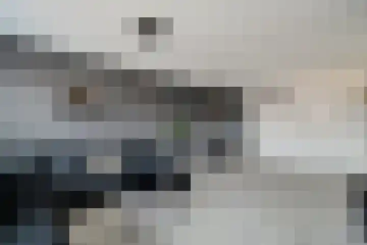 Dr. H.J.A.M.Schaepmanplein 21 Neede thumbnail 17