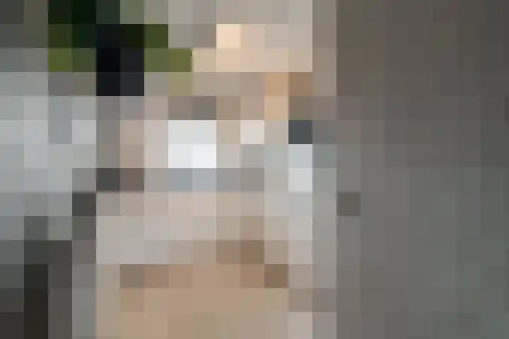 Dr. H.J.A.M.Schaepmanplein 21 Neede thumbnail 20