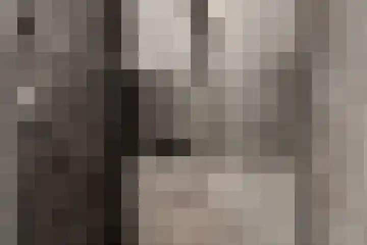 Dr. H.J.A.M.Schaepmanplein 21 Neede thumbnail 23