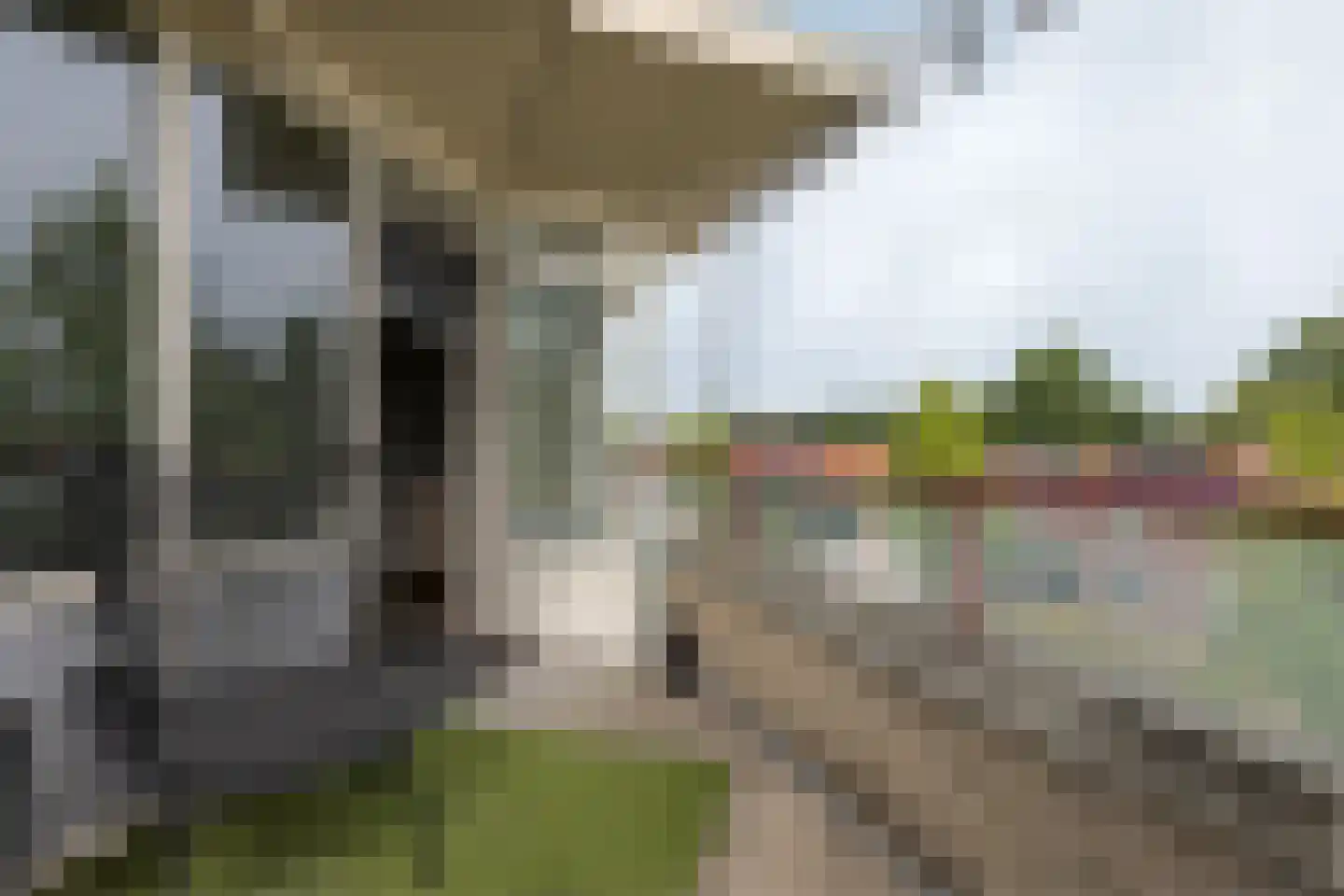 Dr. H.J.A.M.Schaepmanplein 29 Neede thumbnail 22