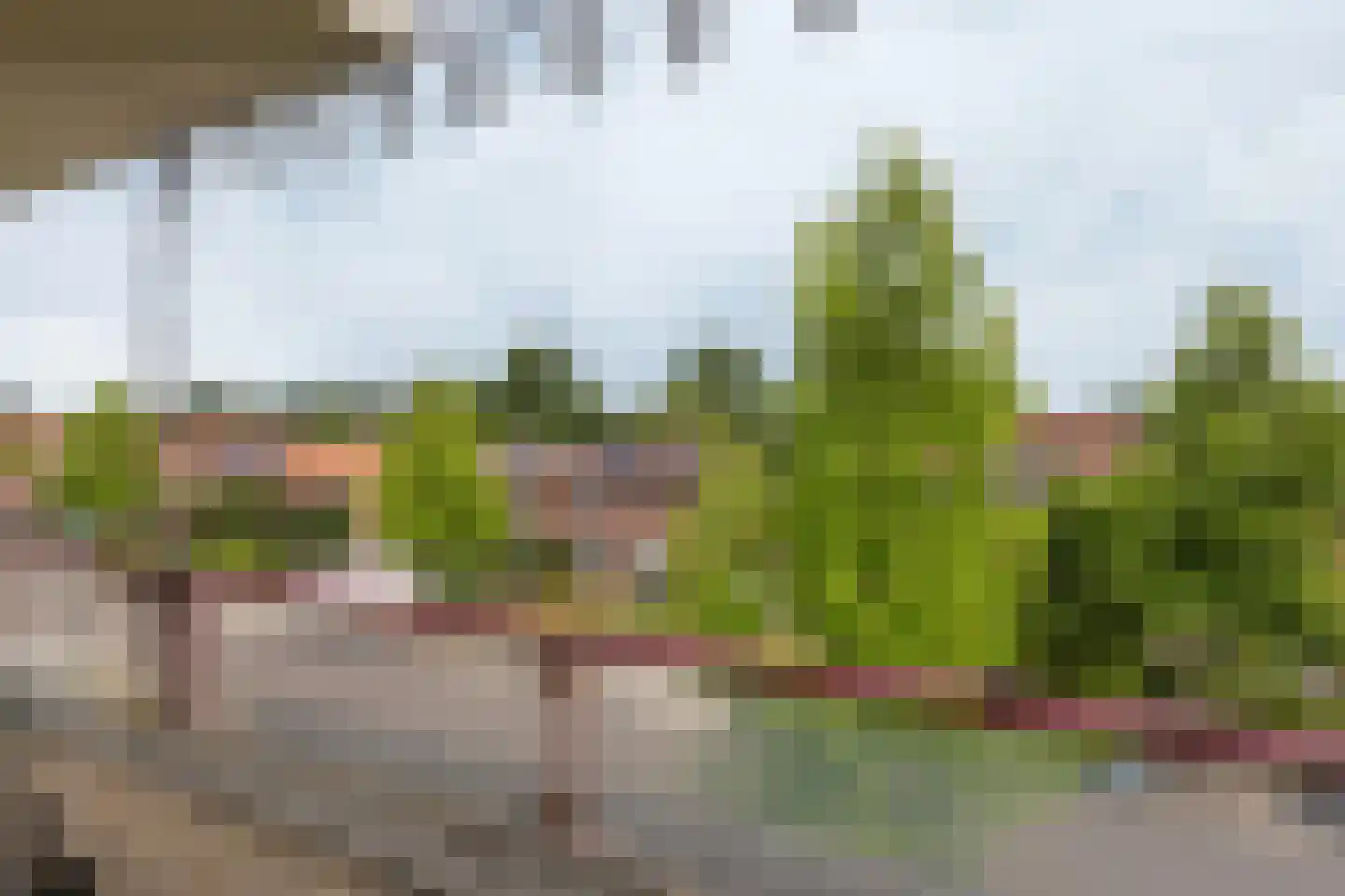 Dr. H.J.A.M.Schaepmanplein 29 Neede thumbnail 23