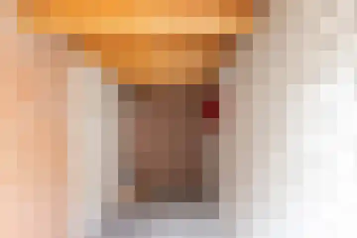 Dr. H.J.A.M.Schaepmanplein 33 Neede thumbnail 21