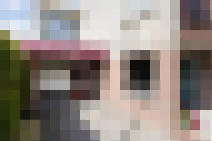 Dr. H.J.A.M.Schaepmanplein 33 Neede thumbnail 22