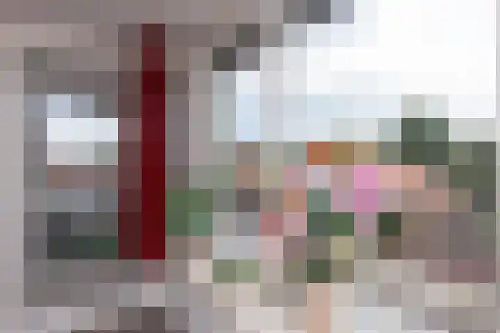 Dr. H.J.A.M.Schaepmanplein 33 Neede thumbnail 4