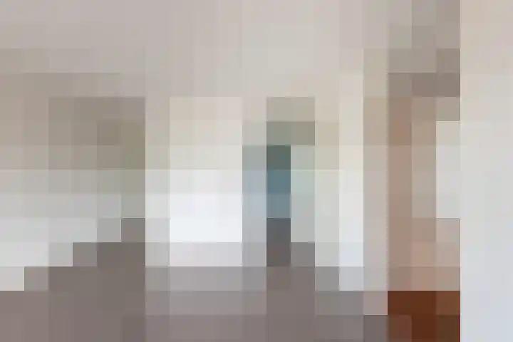 Dr. H.J.A.M.Schaepmanplein 33 Neede thumbnail 7