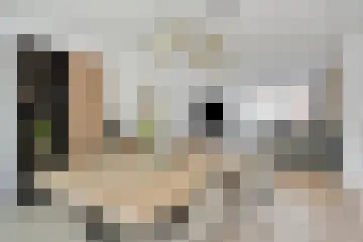 Dr. H.J.G. Hoebenstraat 8 Best thumbnail 13