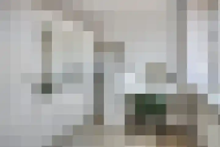 Dr. H.J.G. Hoebenstraat 8 Best thumbnail 23