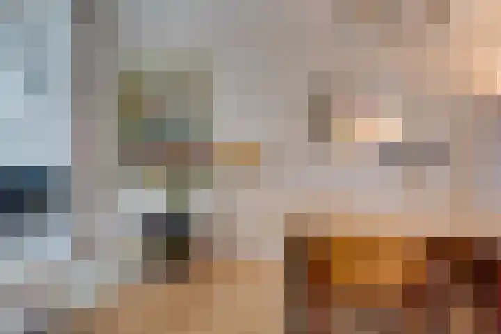 Dr. H.J. Lovinklaan 1 Utrecht thumbnail 11