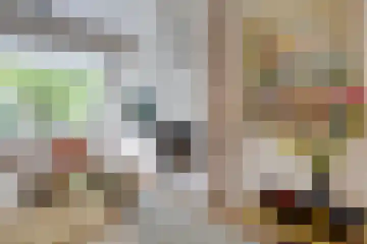 Dr. H.J. Lovinklaan 1 Utrecht thumbnail 12