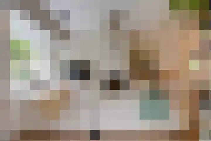 Dr. H.J. Lovinklaan 1 Utrecht thumbnail 16