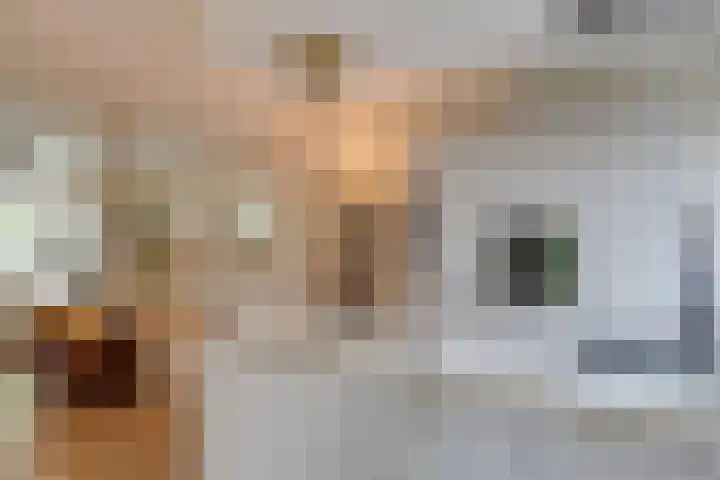 Dr. H.J. Lovinklaan 1 Utrecht thumbnail 24